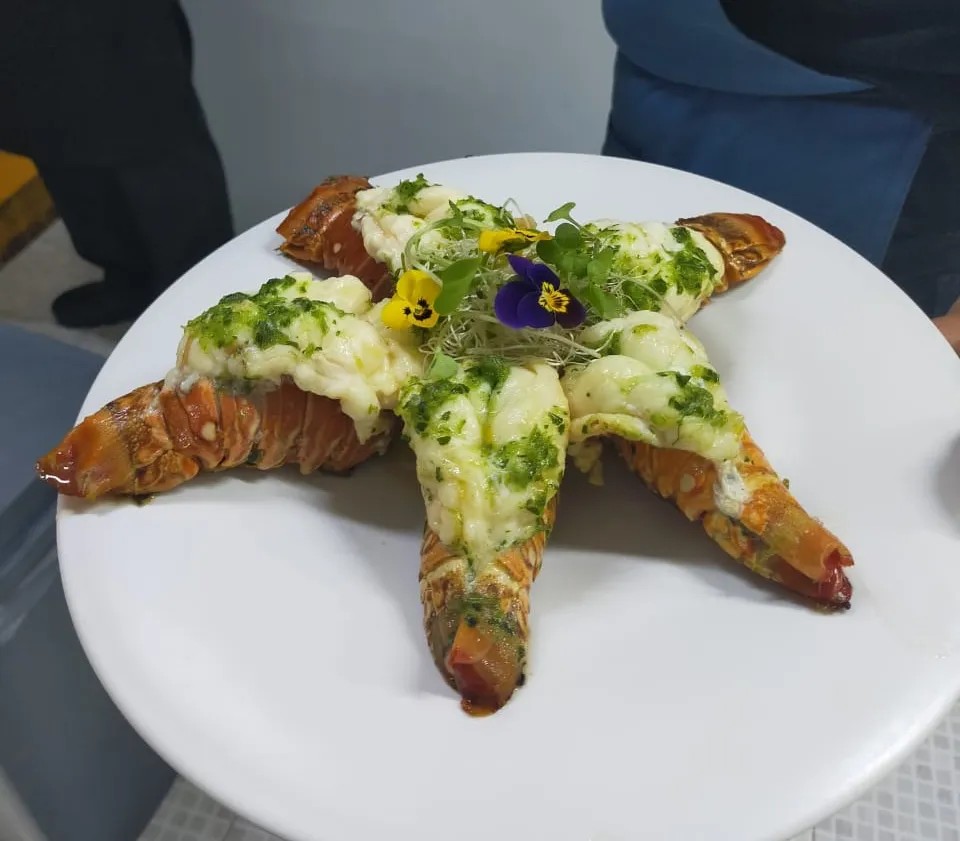 Image alt description