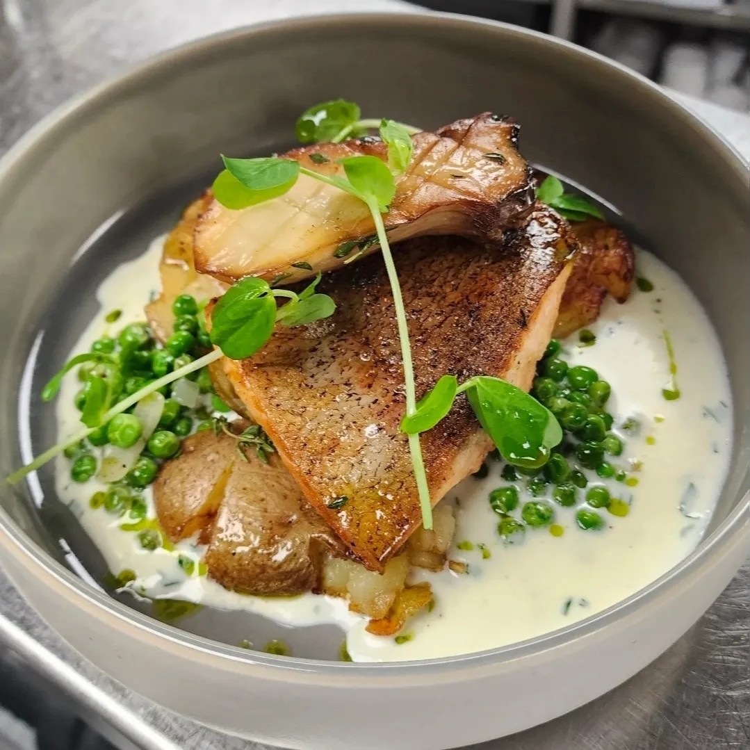 Image alt description