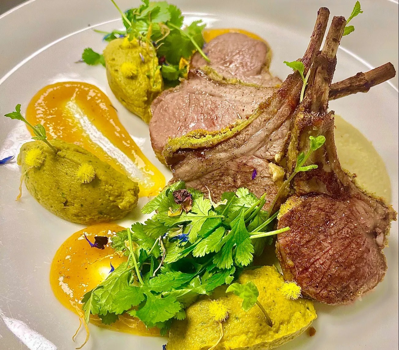 Image alt description