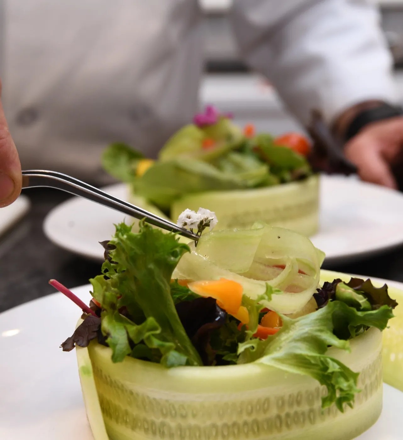 Image alt description