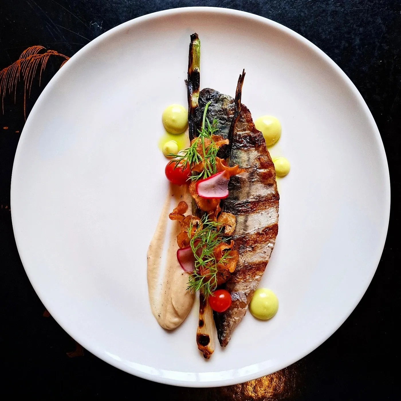 Image alt description