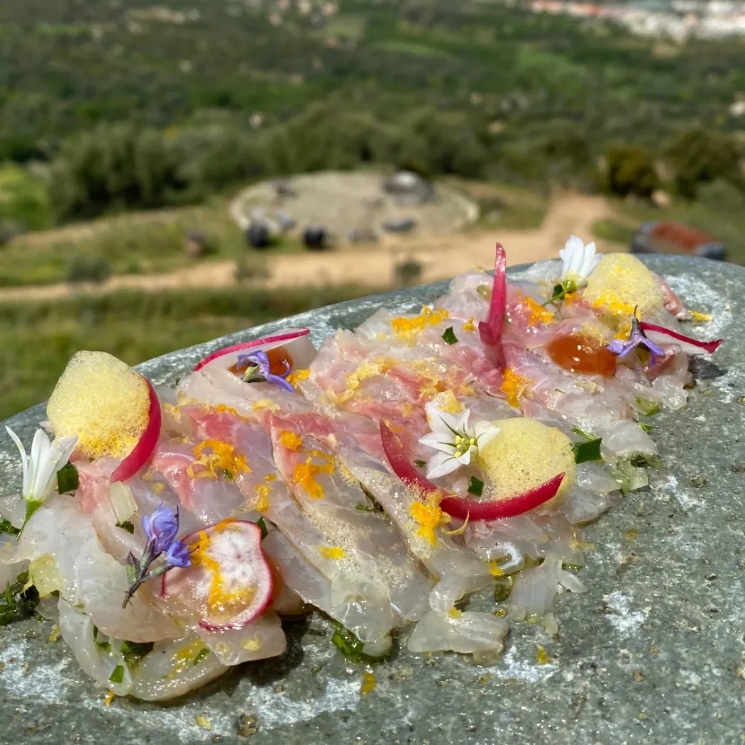 Image alt description