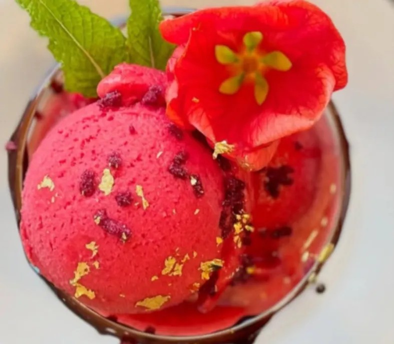 Image alt description