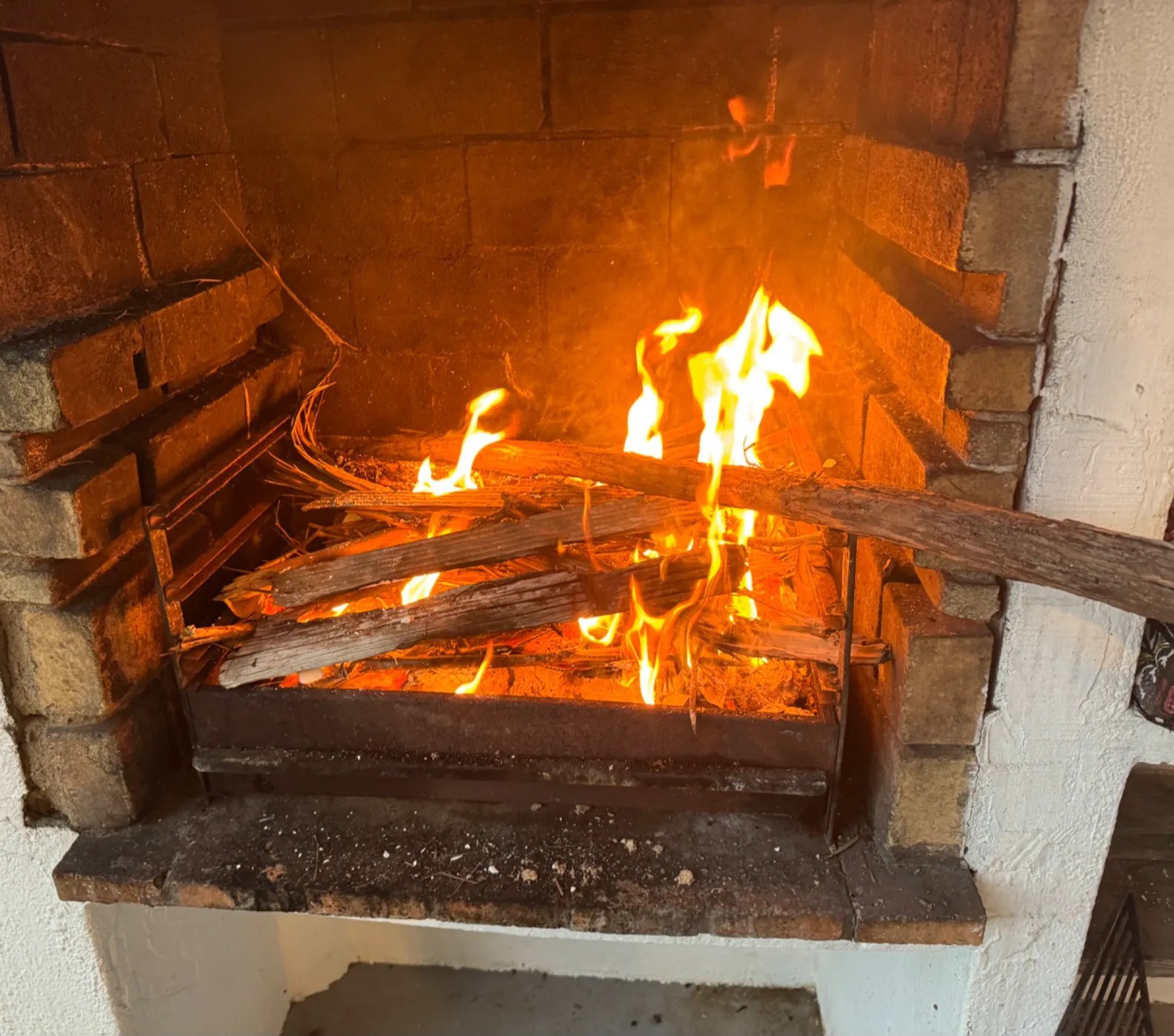 Image alt description