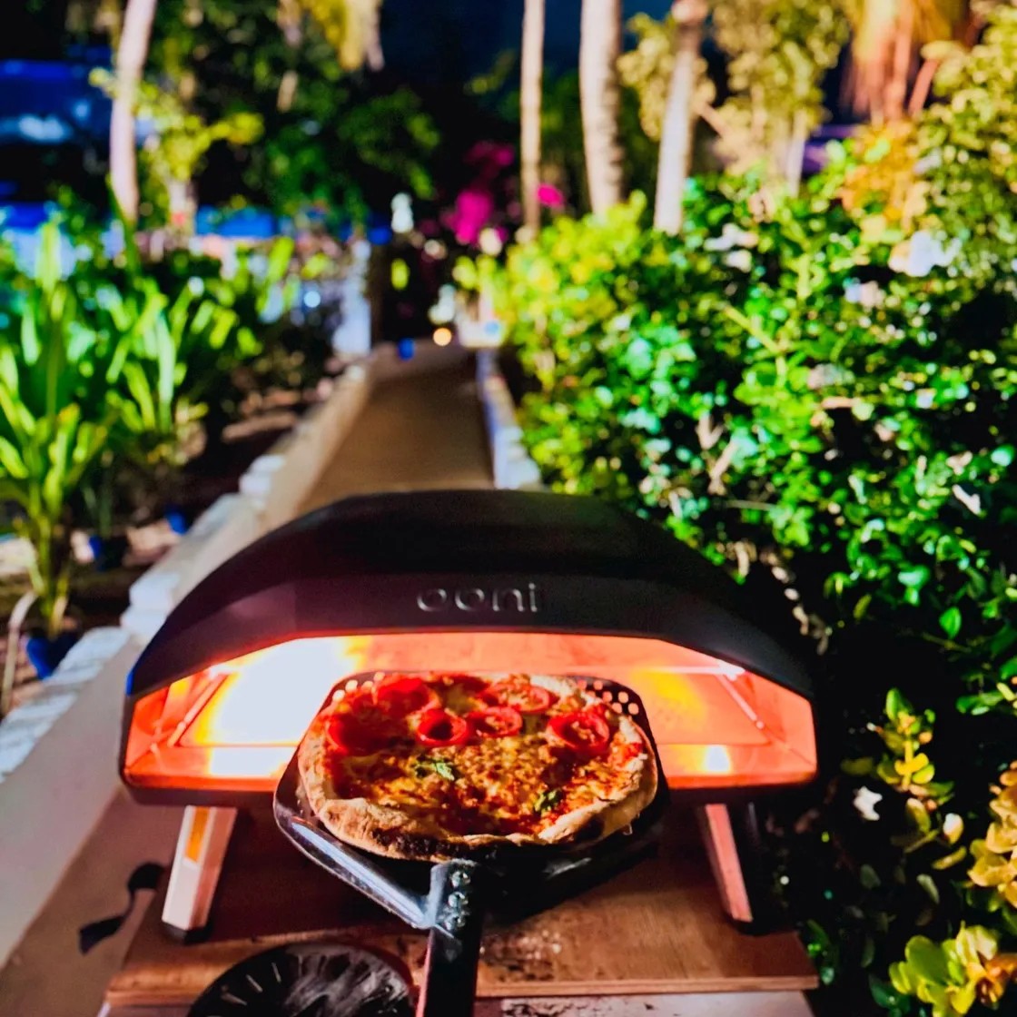 Image alt description