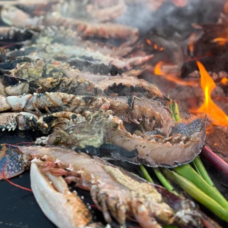 Image alt description