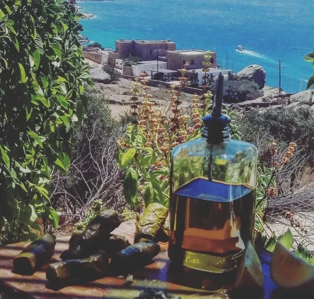 Image alt description