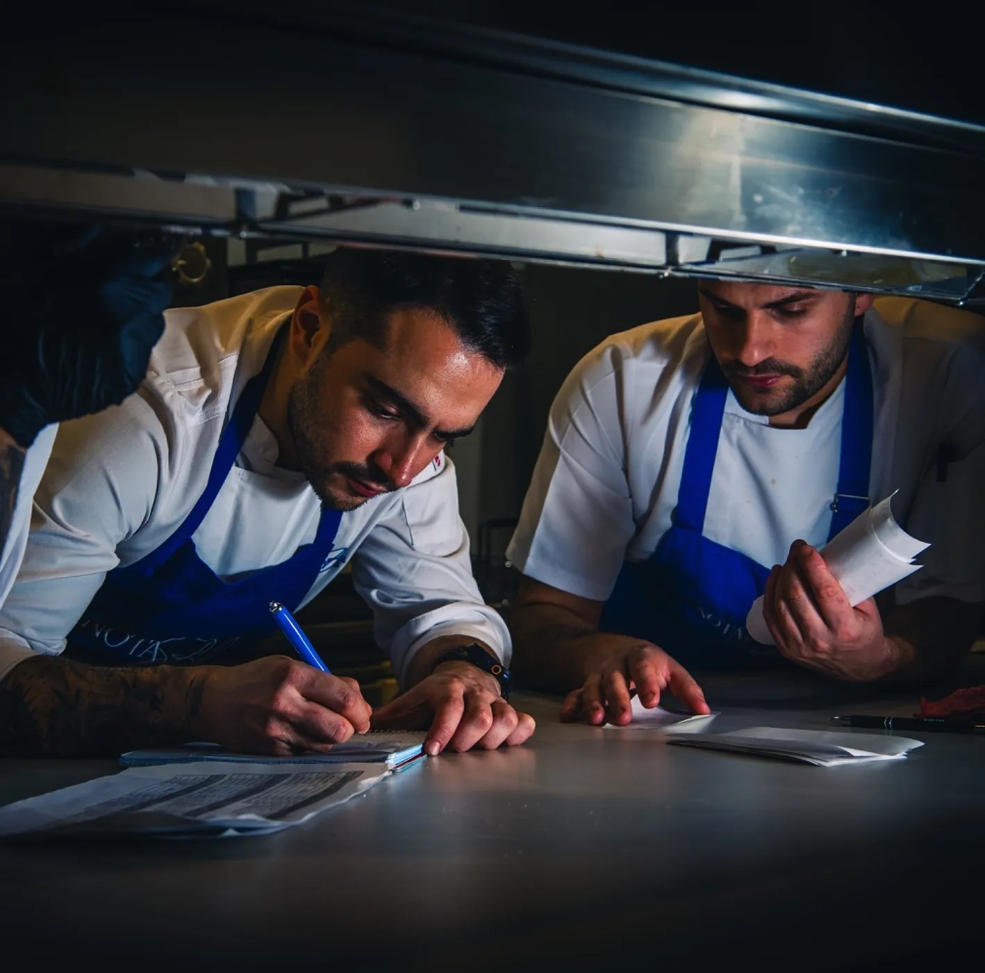 Image alt description