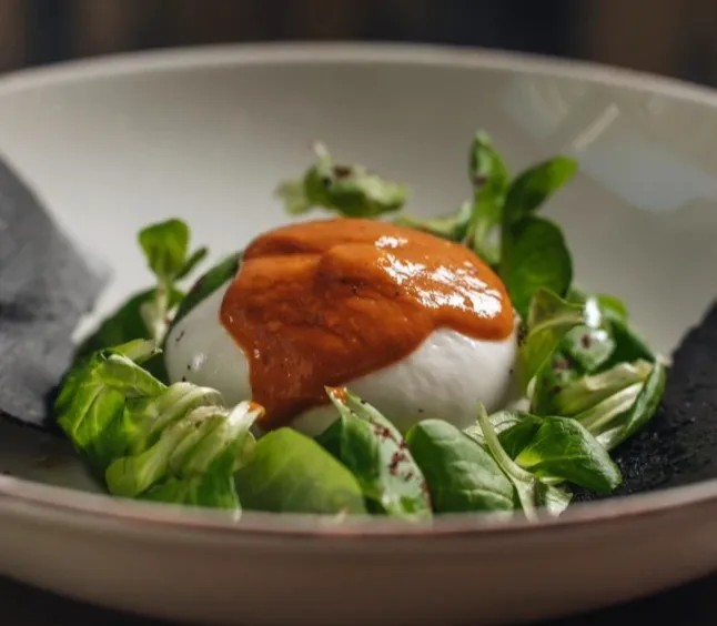 Image alt description