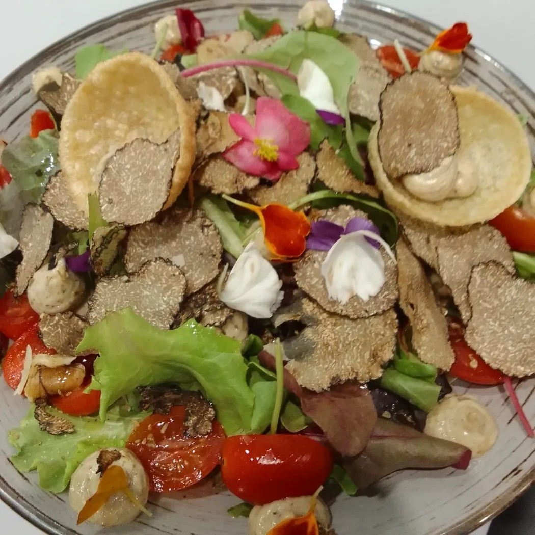 Image alt description