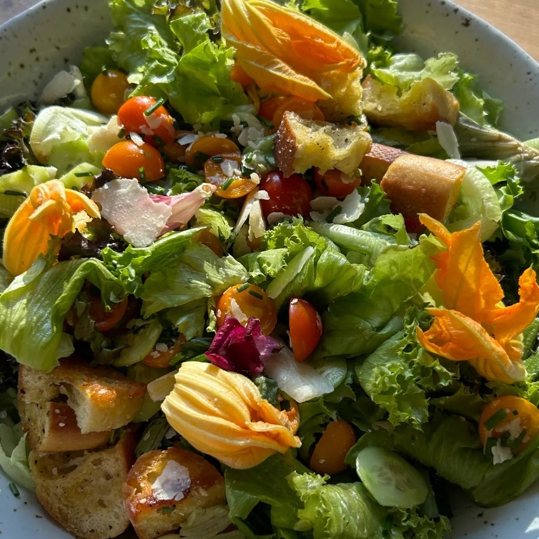 Image alt description