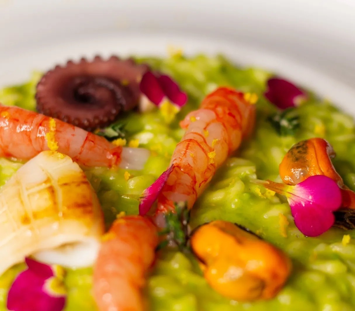 Image alt description