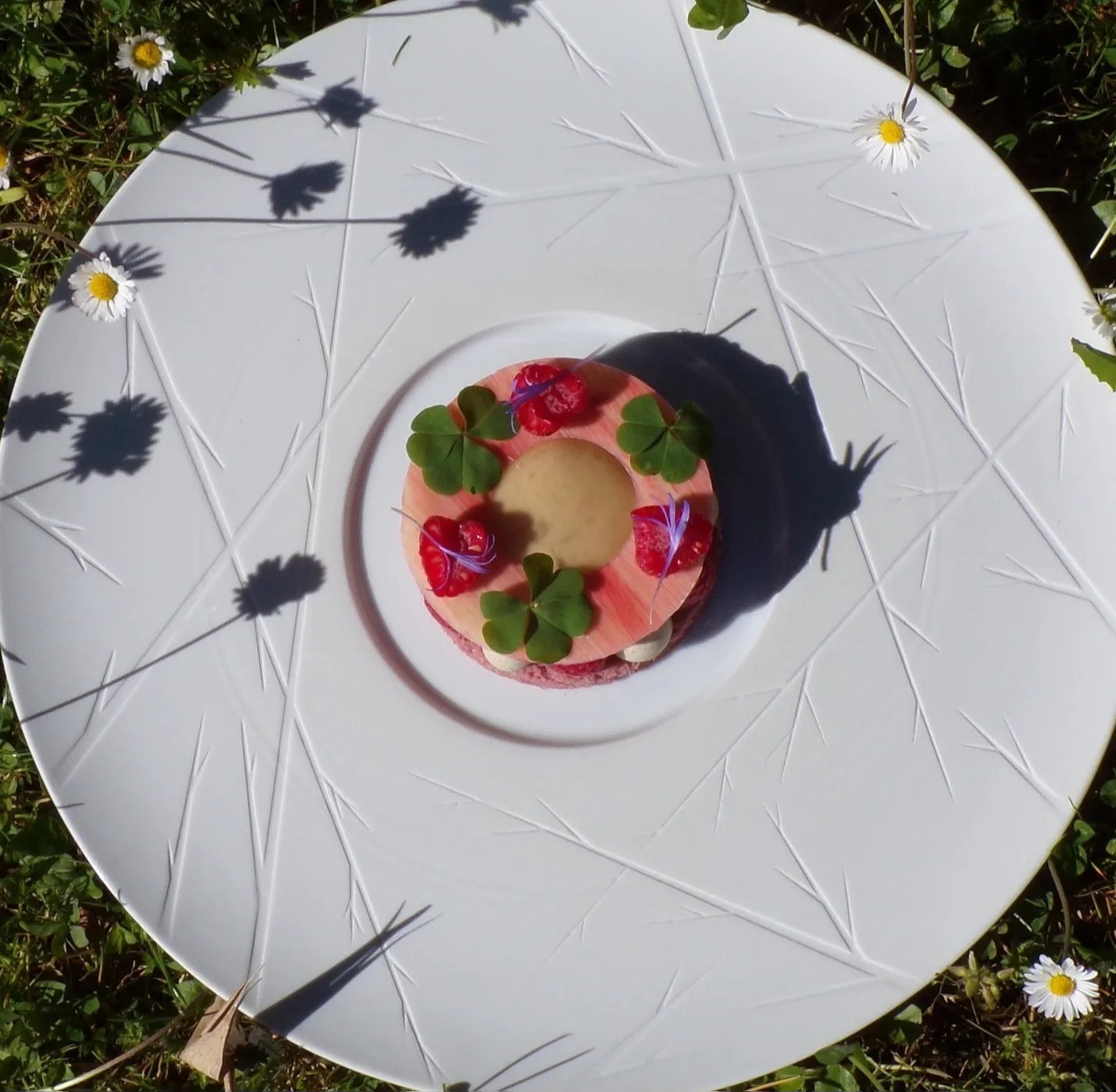 Image alt description