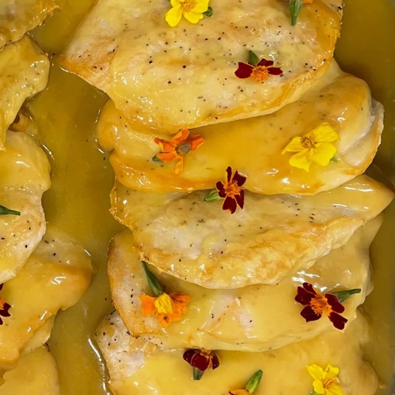 Image alt description