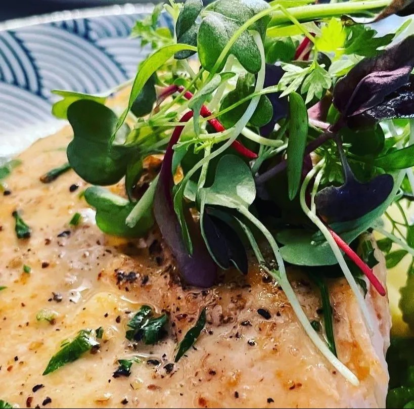 Image alt description