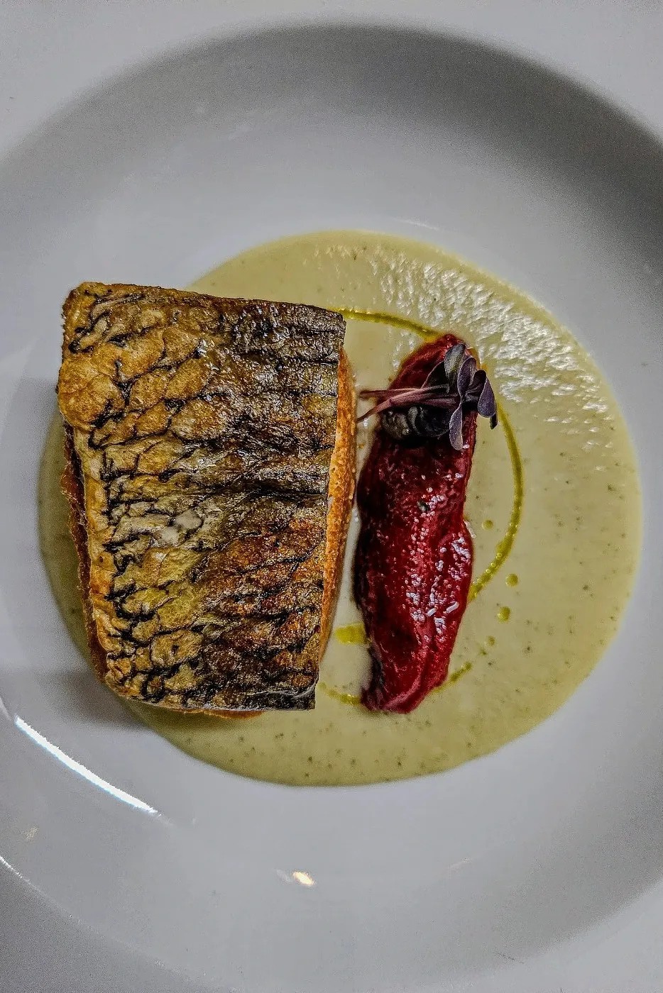 Image alt description