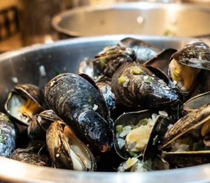 Image alt description