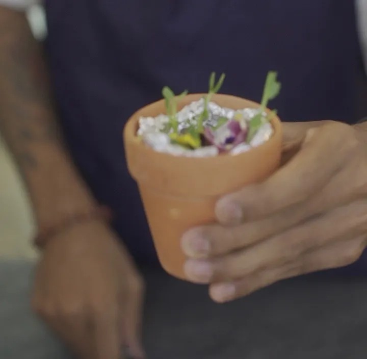 Image alt description