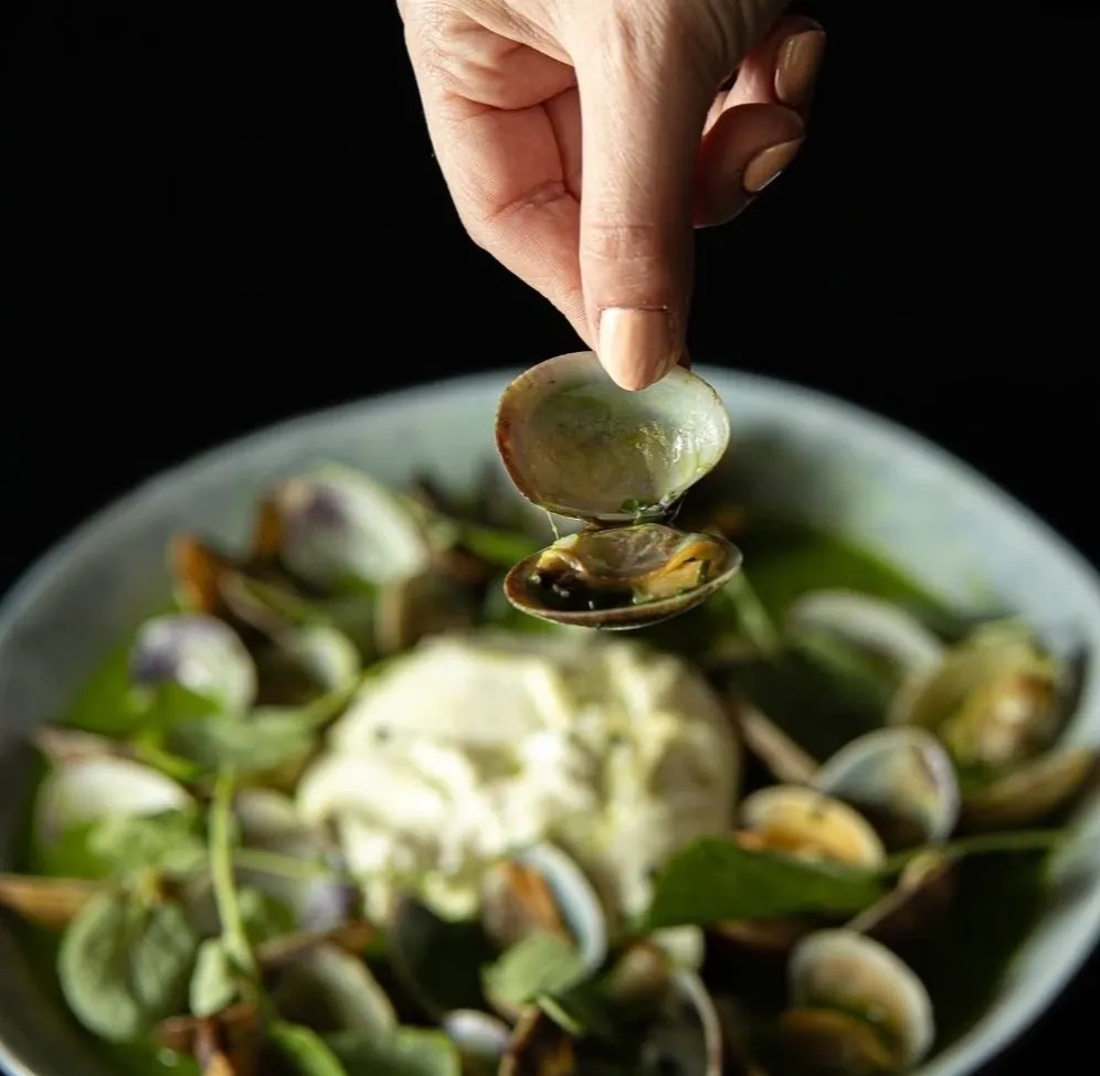 Image alt description