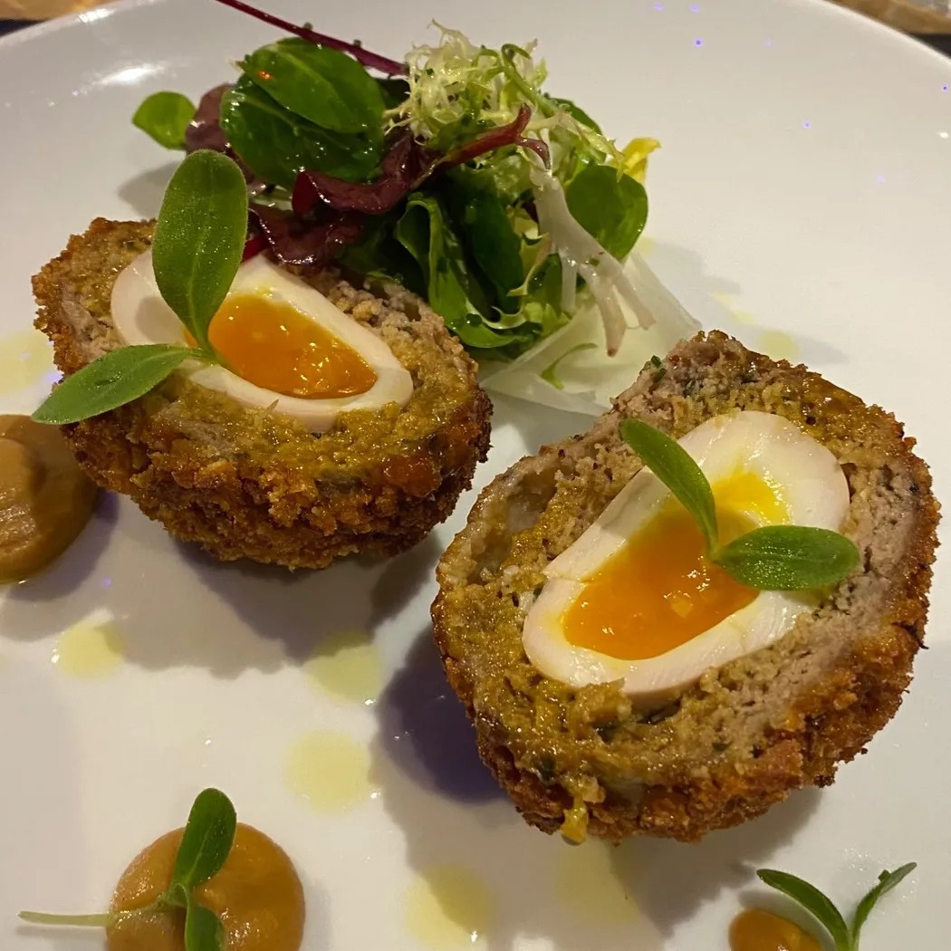 Image alt description