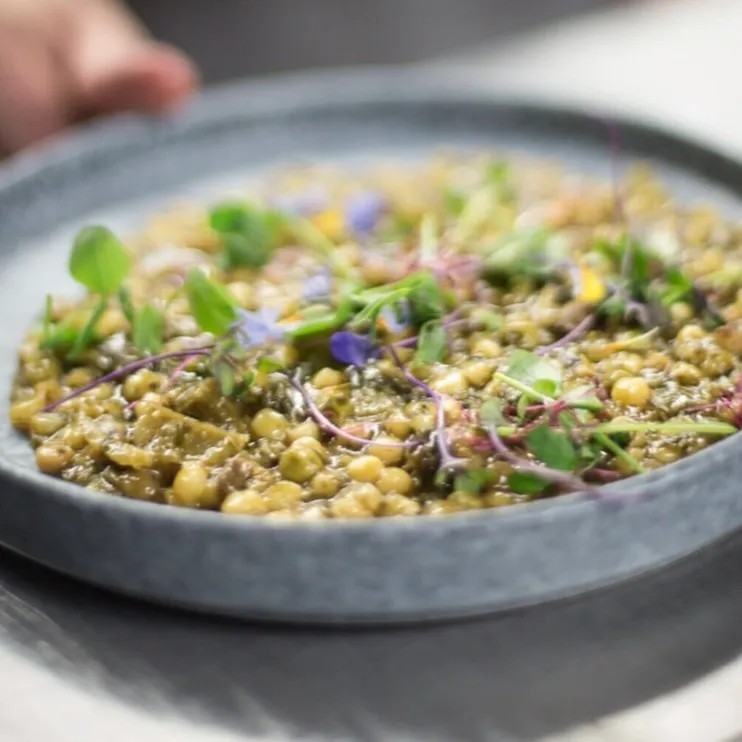 Image alt description