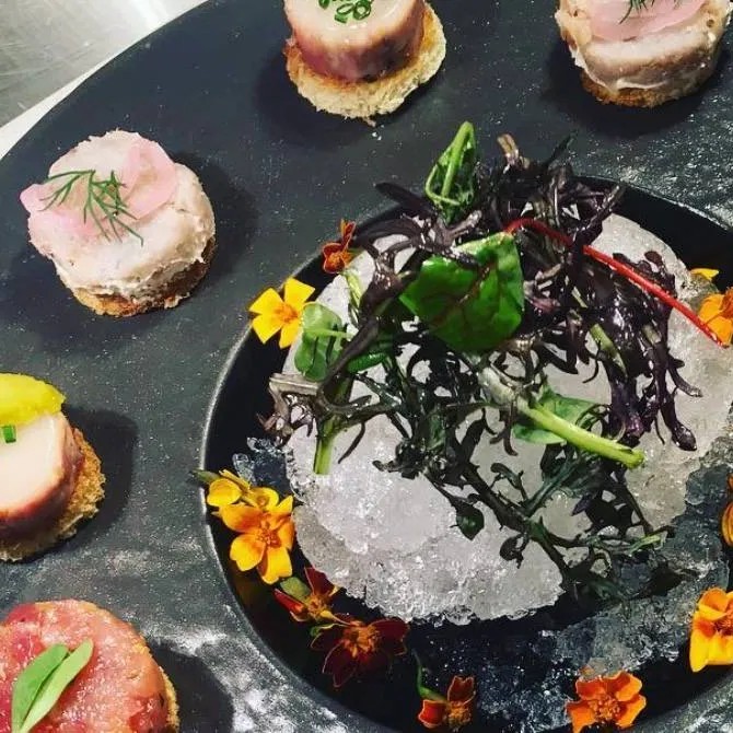 Image alt description