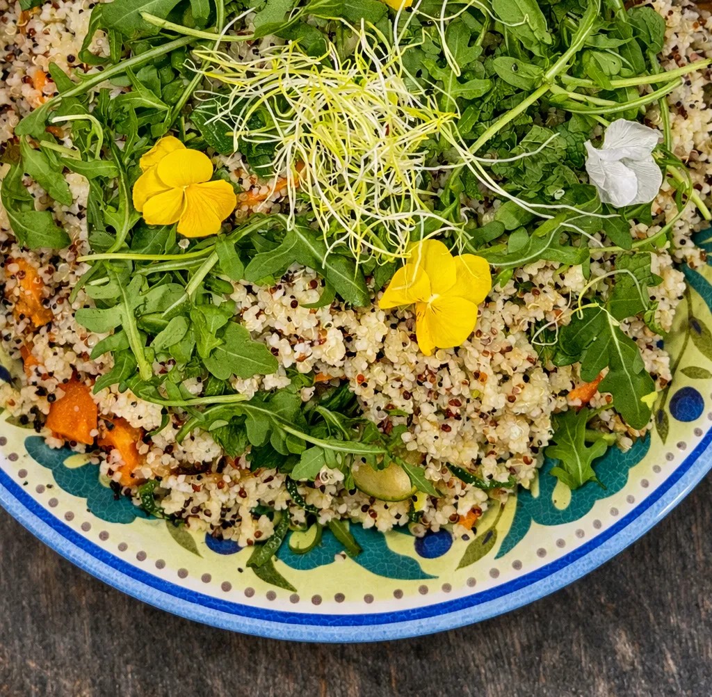 Image alt description